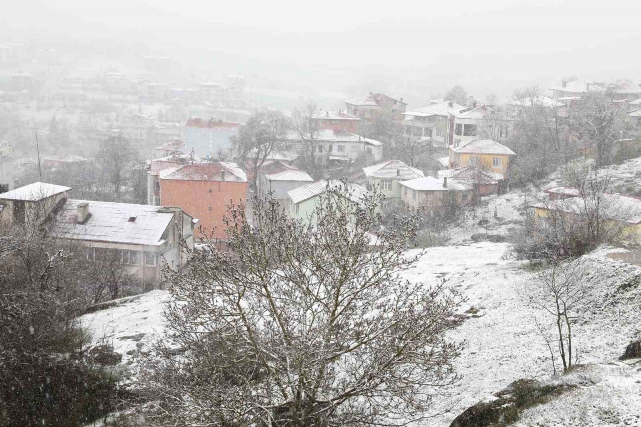 Mart kapıdan baktırdı: Kavak beyaza büründü