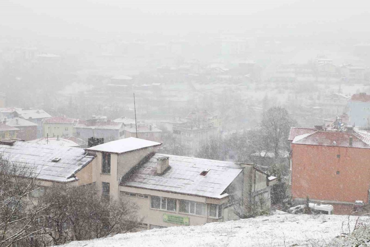 Mart kapıdan baktırdı: Kavak beyaza büründü