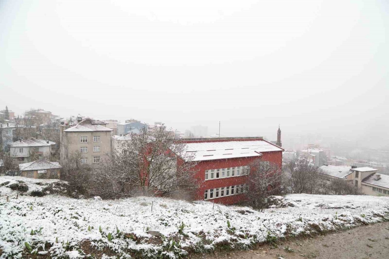 Mart kapıdan baktırdı: Kavak beyaza büründü