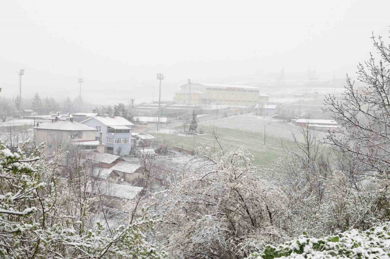 Mart kapıdan baktırdı: Kavak beyaza büründü