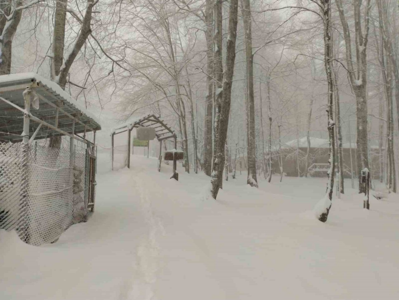 Bahar ayında Kocaeli beyaza büründü, kar kalınlığı 30 santimi aştı