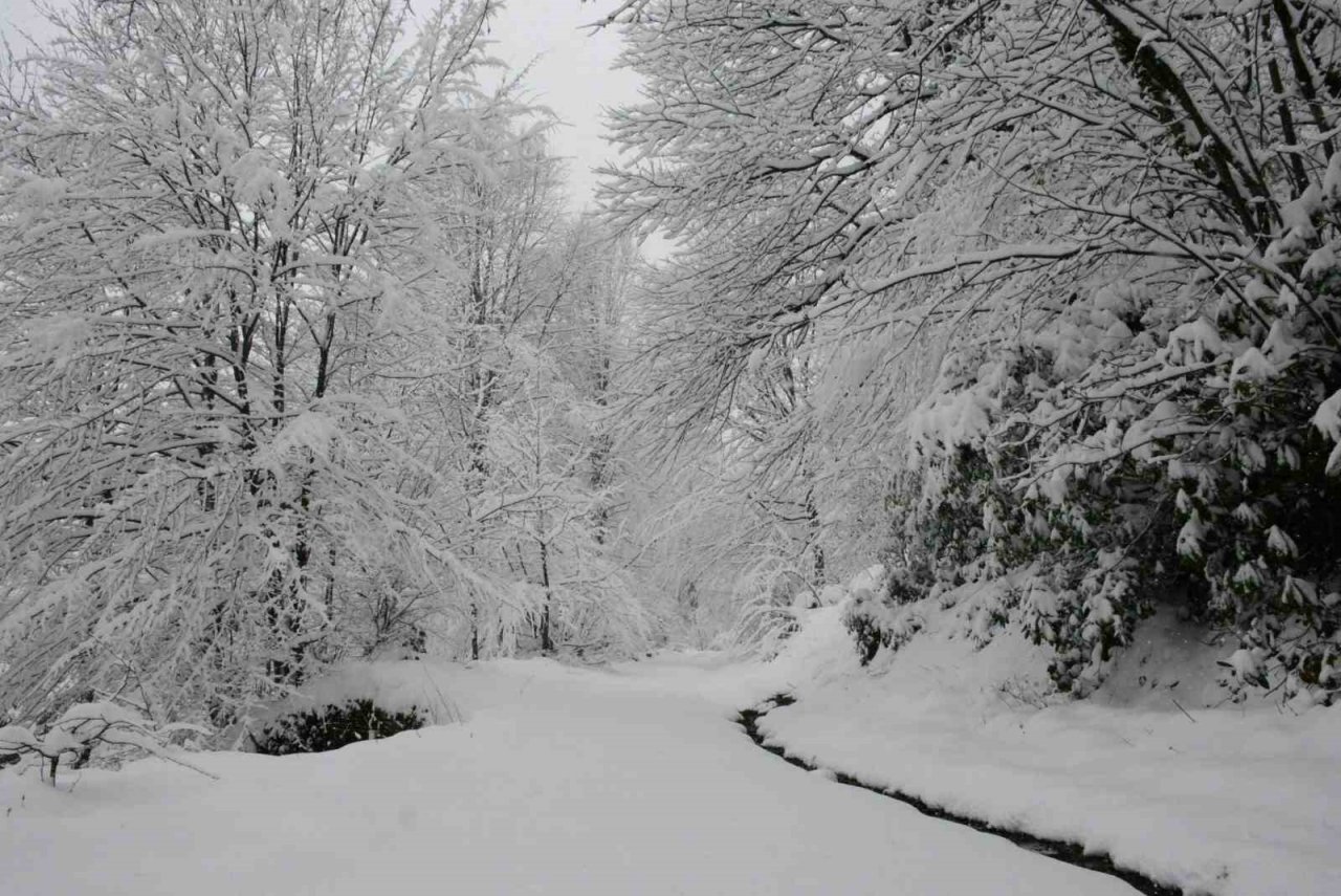Samanlı Dağları’nın karla kaplı manzarası mest etti
