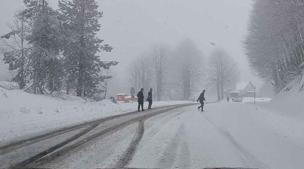 Kocayayla geçidi, yoğun kar yağışı nedeniyle ağır vasıtalara geçit vermedi