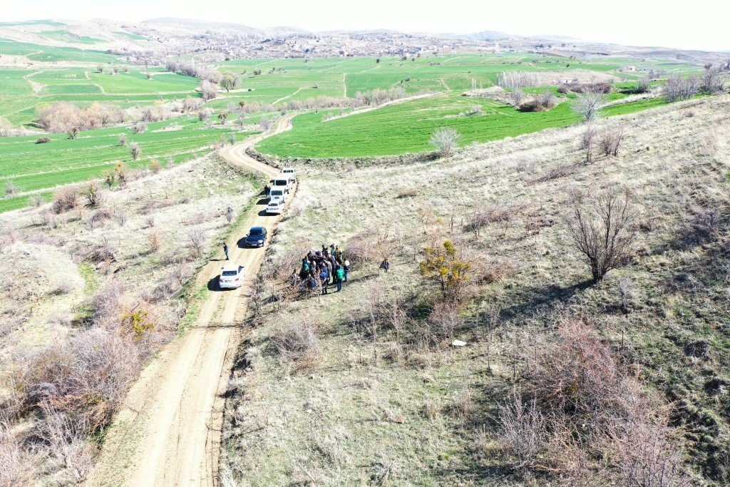 Kocasinan’da yabani alıç ağaçları, ekonomik değere dönüşüyor