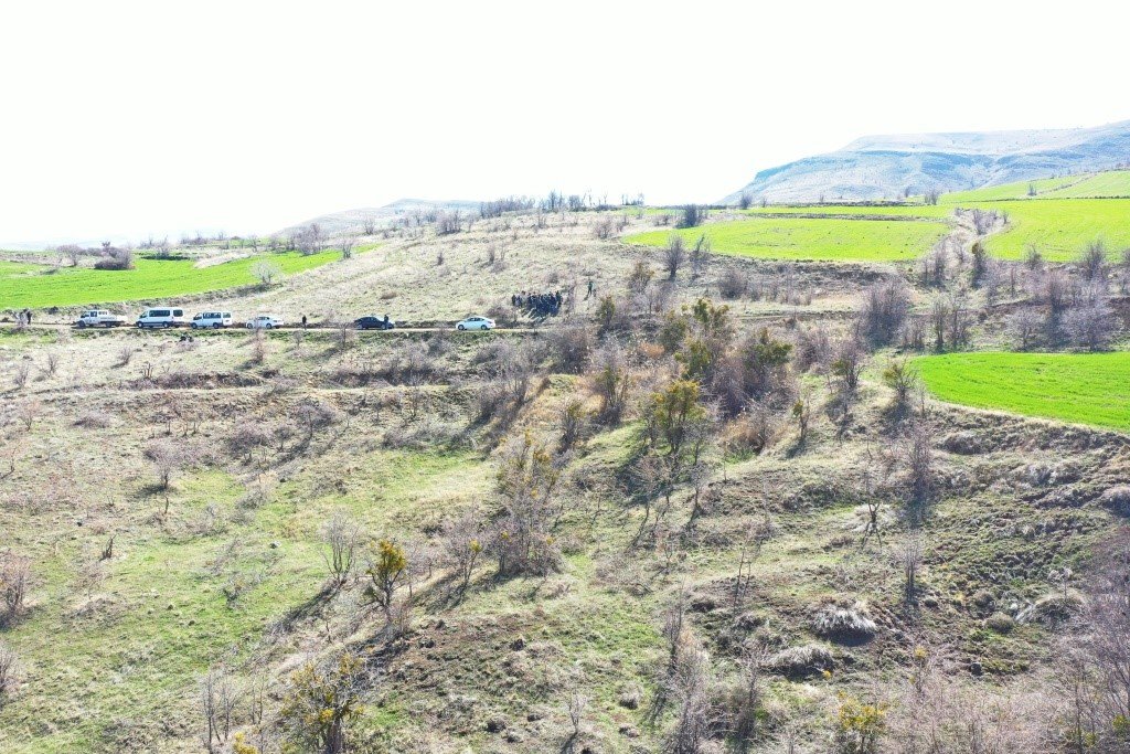 Kocasinan’da yabani alıç ağaçları, ekonomik değere dönüşüyor