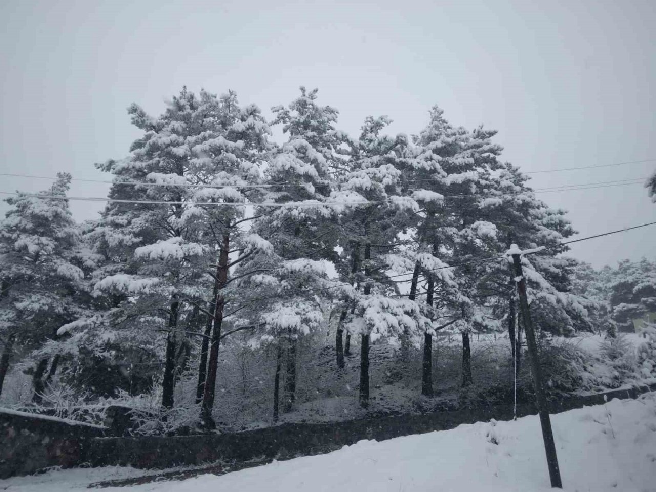 Tokat’ta Çamiçi Yaylası’na Bahar Karı
