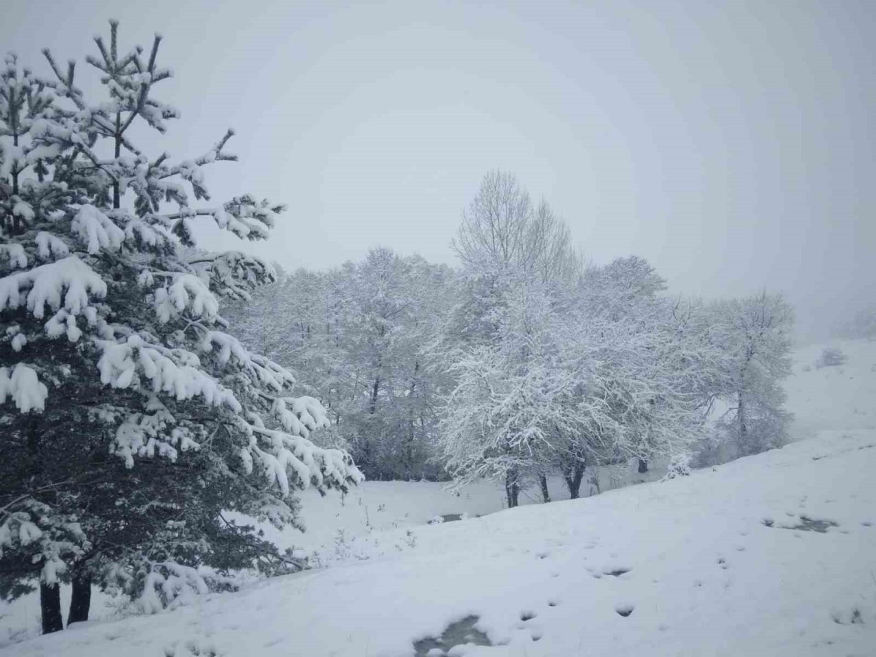 Tokat’ta Çamiçi Yaylası’na Bahar Karı