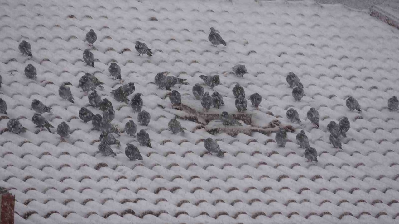 Yozgat’ta kar yağışı etkili oldu