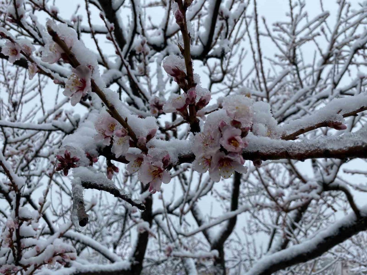 Yozgat’ta kar yağışı etkili oldu