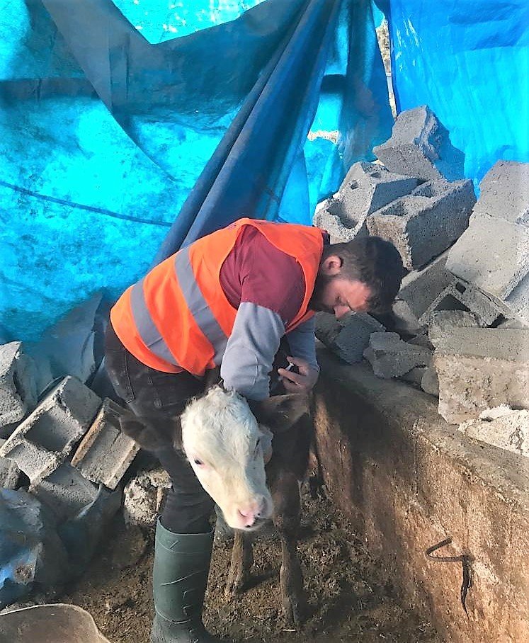 Antalya Büyükşehir Belediyesi’nden Gaziantep’te veterinerlik hizmeti