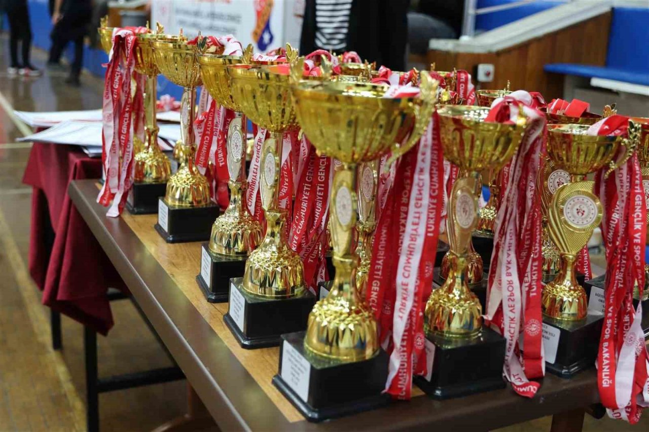 Satrançta Aydın İl şampiyonları belli oldu