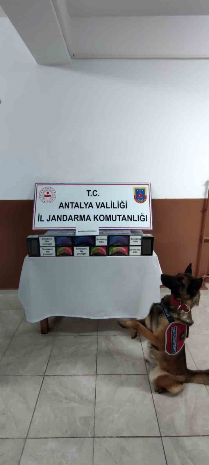 Antalya’da kaçakçılarla mücadele