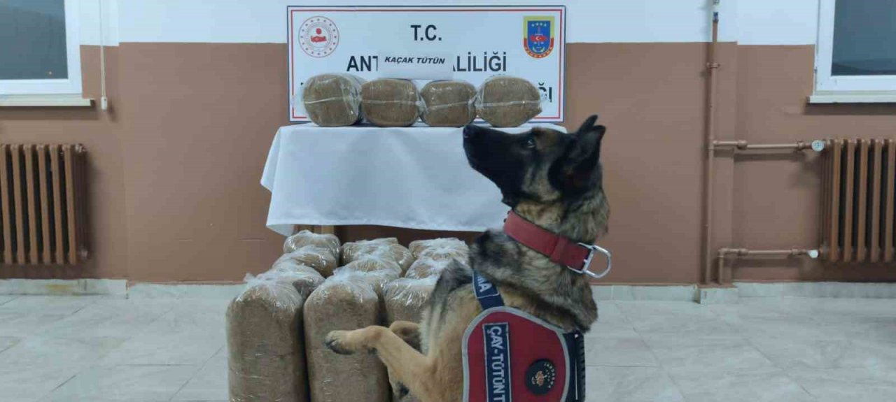 Antalya’da kaçakçılarla mücadele