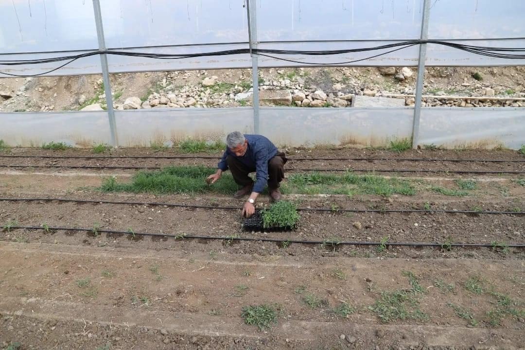 Çukurca’da fide ekimine başlandı