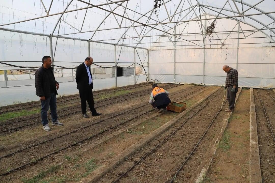 Çukurca’da fide ekimine başlandı