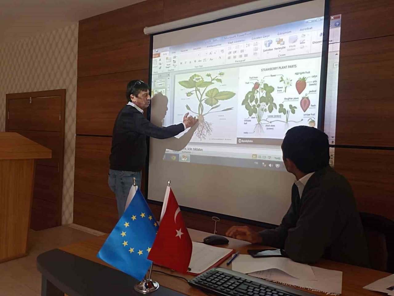 Samsun’da çilek yetiştiriciliği gelişiyor