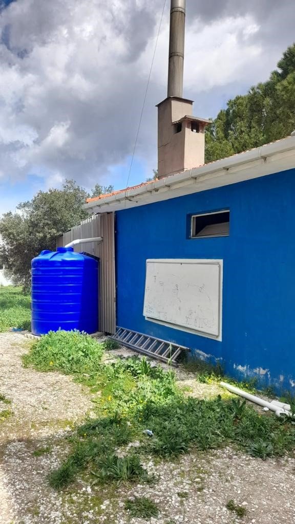 Muğla’da okullarda yağmur suyu hasadı yapılıyor