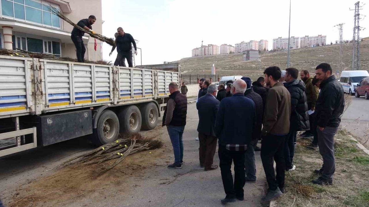 Van’da 31 bin adet meyve fidanı dağıtıldı