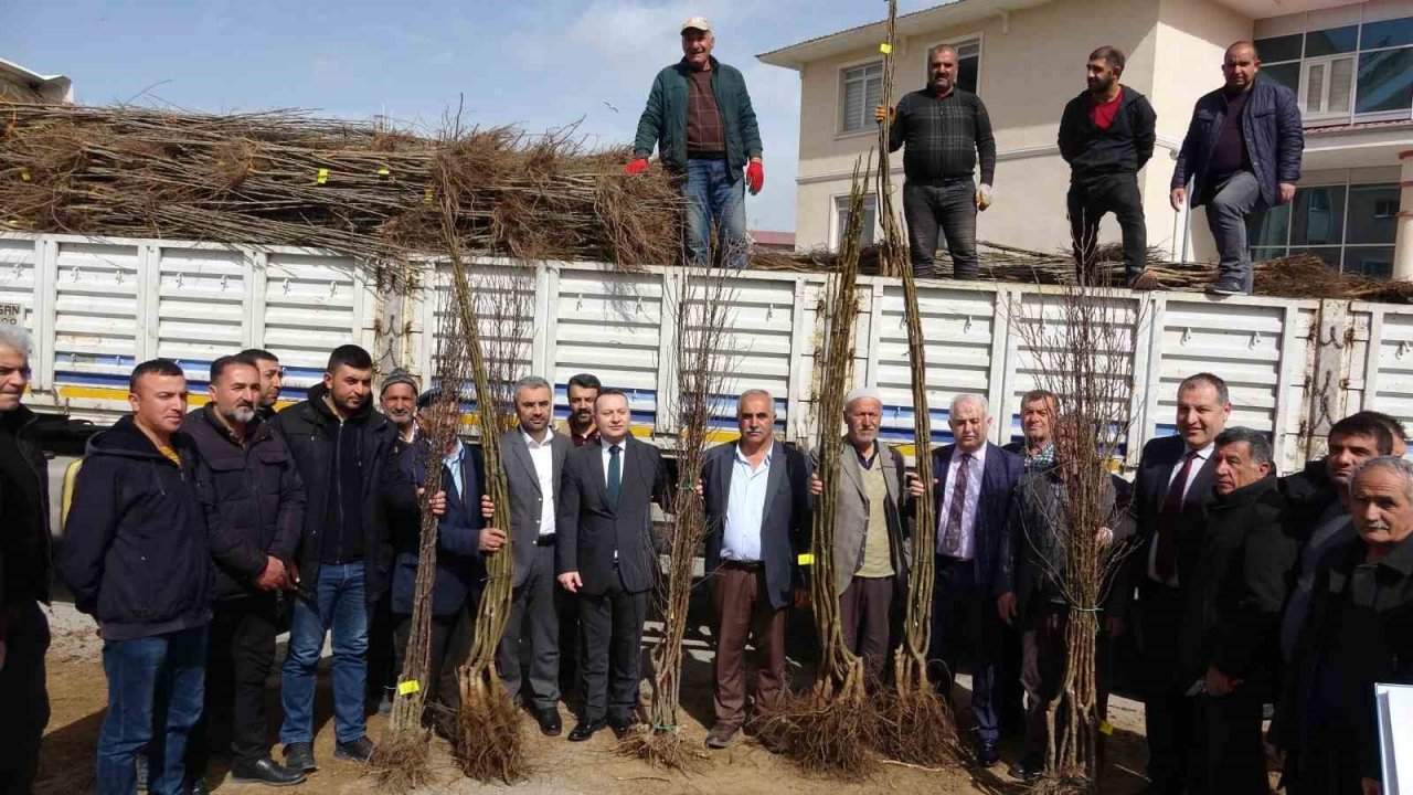 Van’da 31 bin adet meyve fidanı dağıtıldı