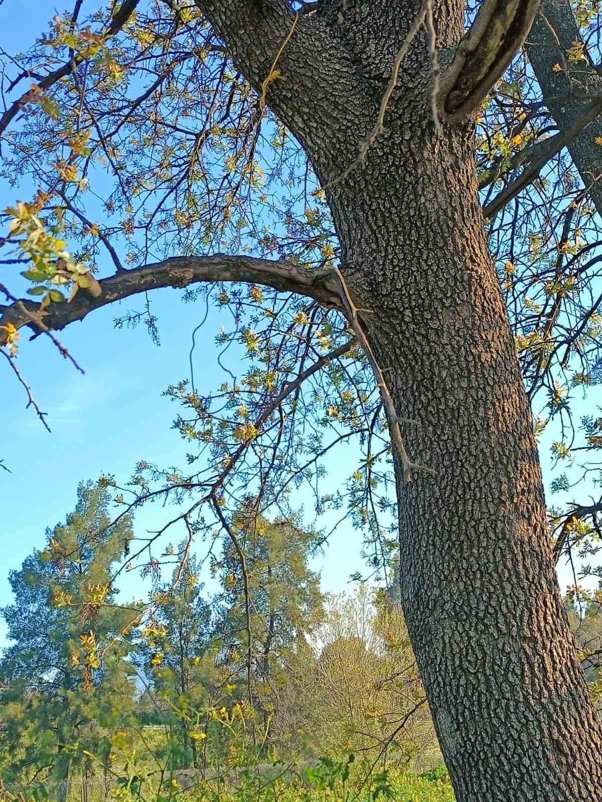 ASKİ ekiplerinin dikkati hayat kurtardı