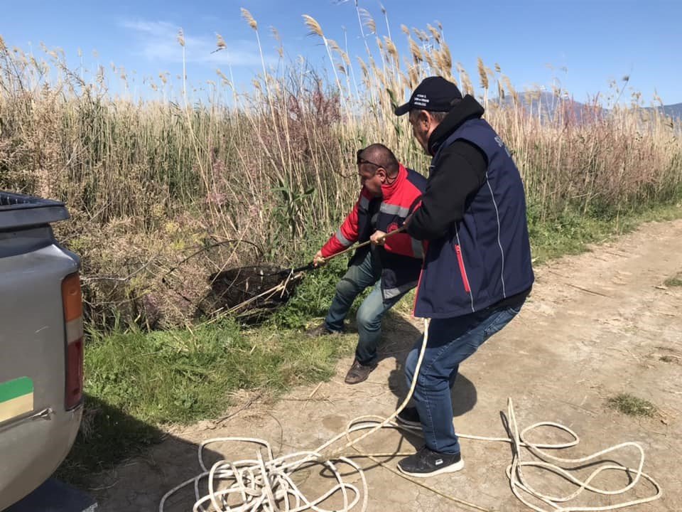 Didim’de kaçak yakalanan balıklar suya geri bırakıldı