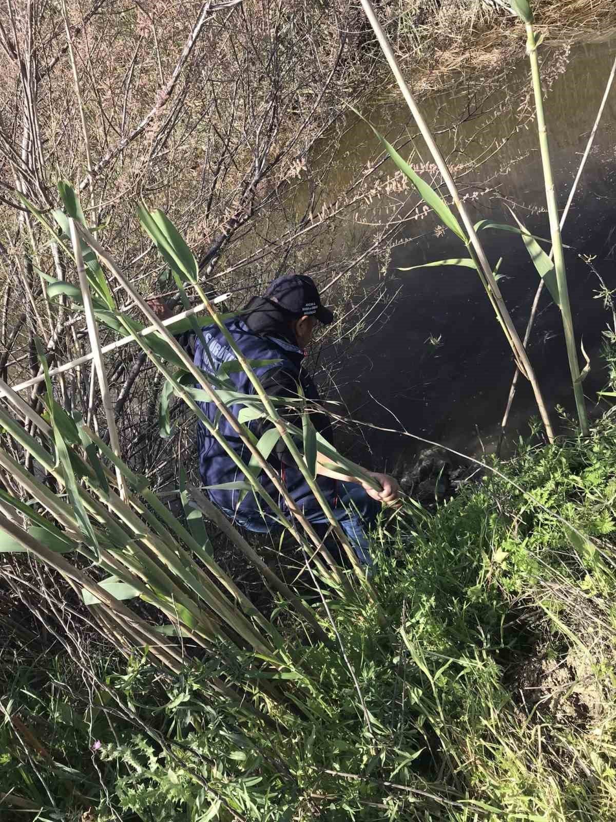 Didim’de kaçak yakalanan balıklar suya geri bırakıldı