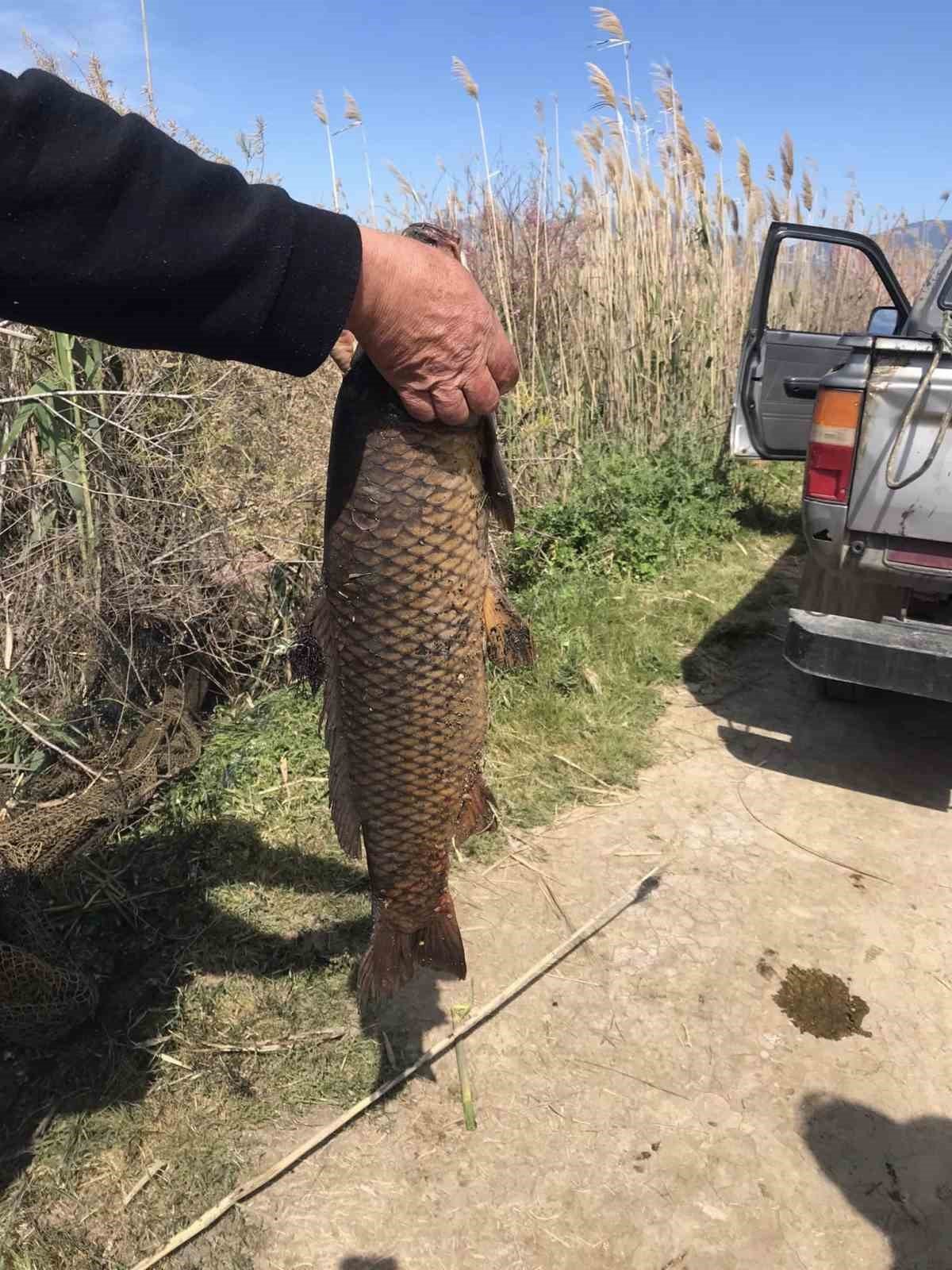 Didim’de kaçak yakalanan balıklar suya geri bırakıldı