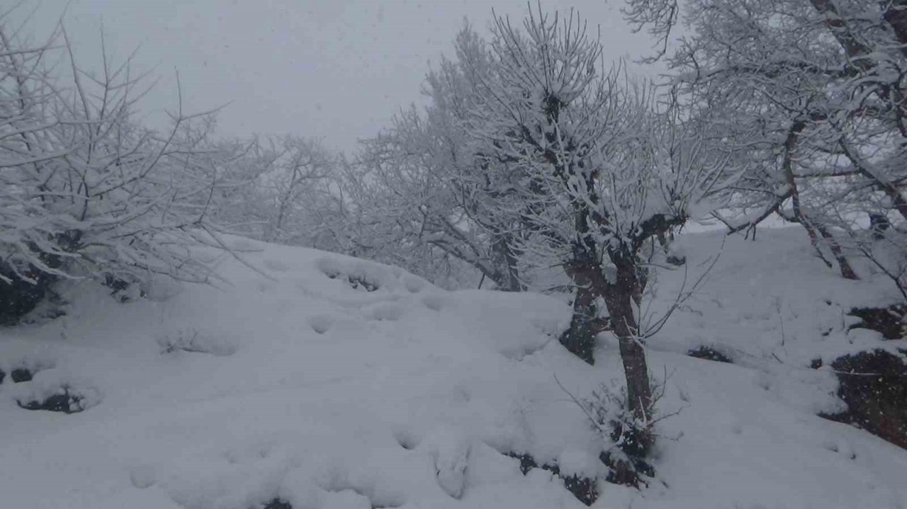 İlkbahar beklenirken kış geldi