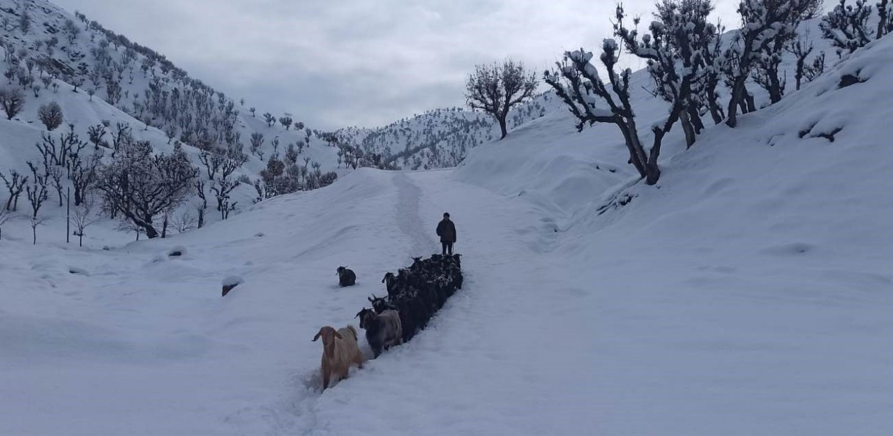 İlkbahar beklenirken kış geldi
