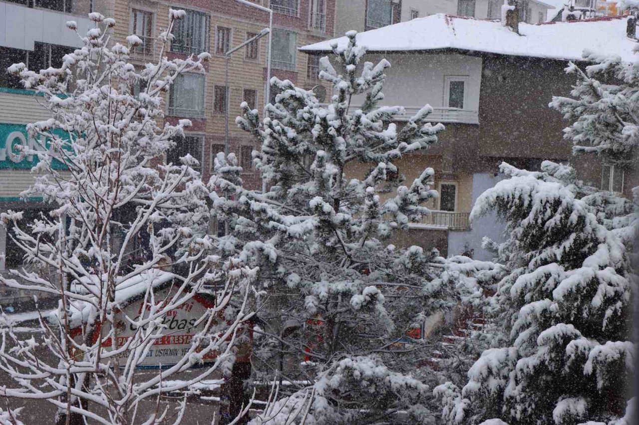 Karlıova ve Genç’te kar yağışı
