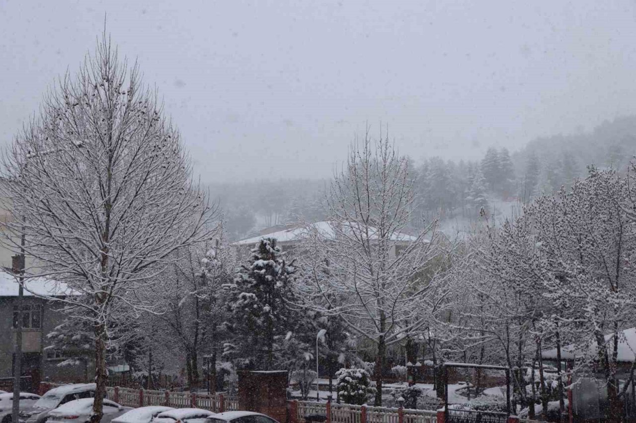 Karlıova ve Genç’te kar yağışı