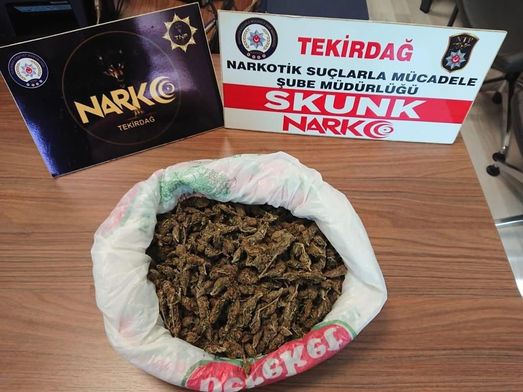 Tekirdağ’da yarım kilo skunk ele geçirildi