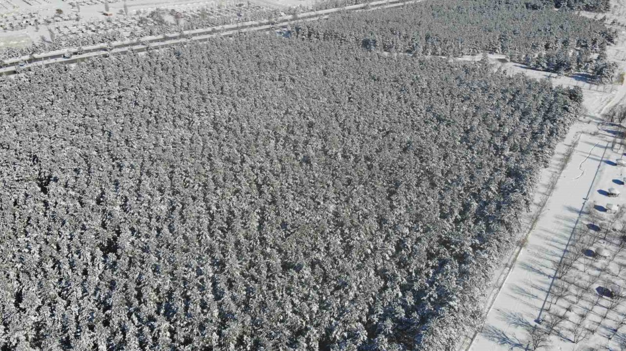 Dronla görüntülenen kar manzarası kartpostallık görüntüler oluşturdu