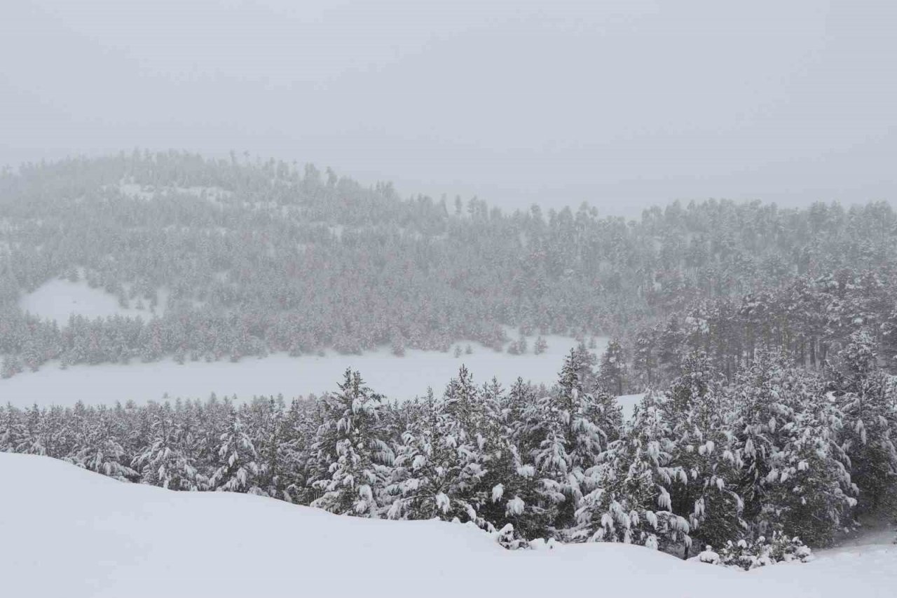 Kar kalınlığı 40 santimetreye ulaştı