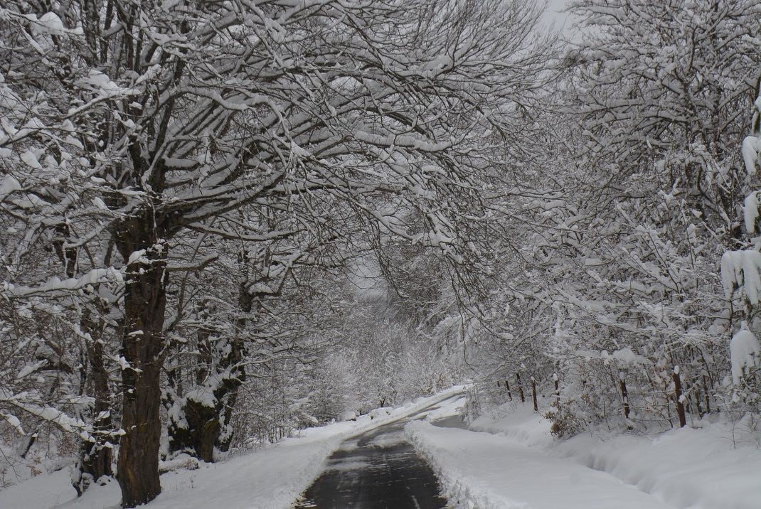 Göktepe Yaylasındaki kar manzaraları görenleri mest ediyor