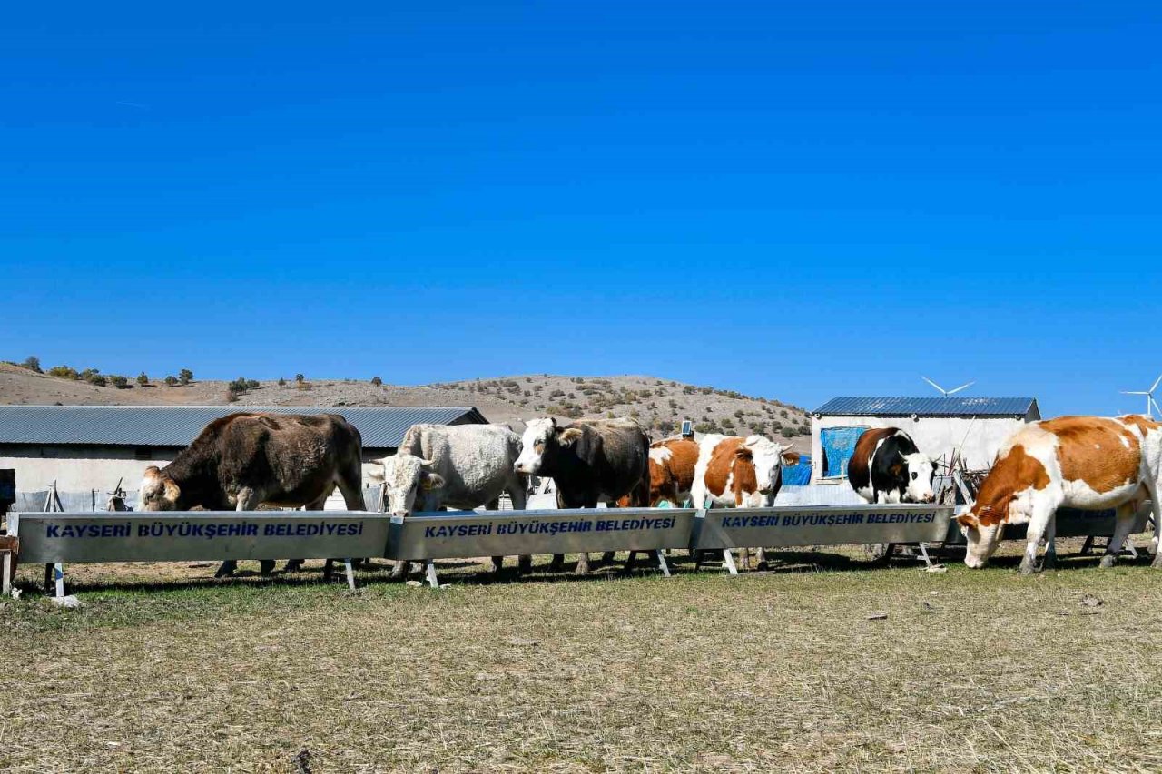 Başkan Büyükkılıç’tan 4 yılda 226 milyon TL’lik ‘tarım ve hayvancılık’ atılımı