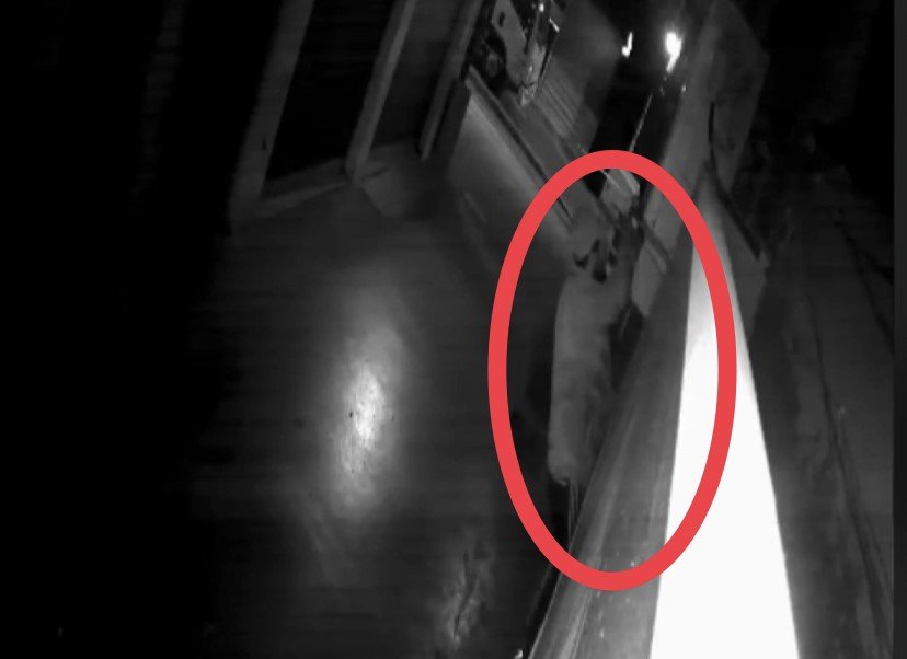 Kedi gibi duvara tırmanan hırsız, güvenlik kameralarından kaçamadı