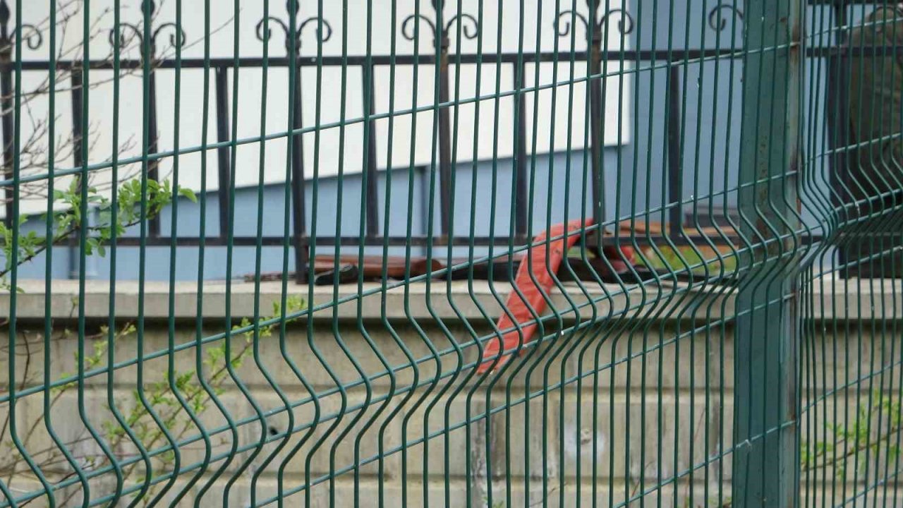 Tartıştığı eski damadını tüfekle yaraladı