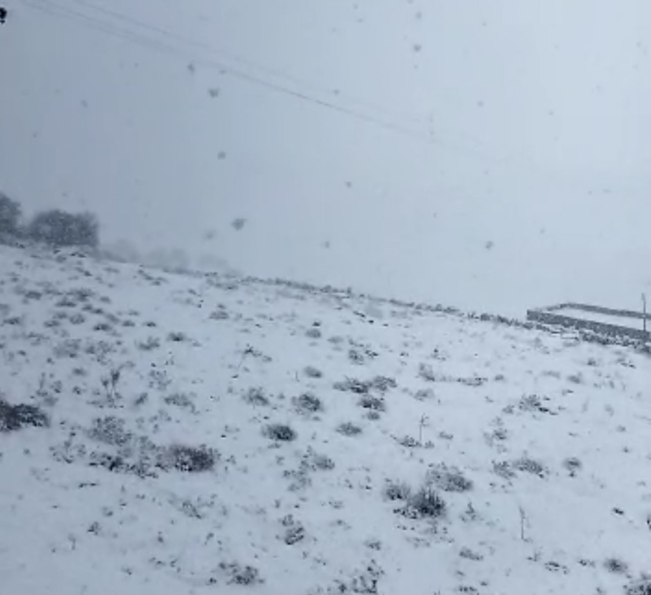 Mazıdağı beyaz örtüye büründü