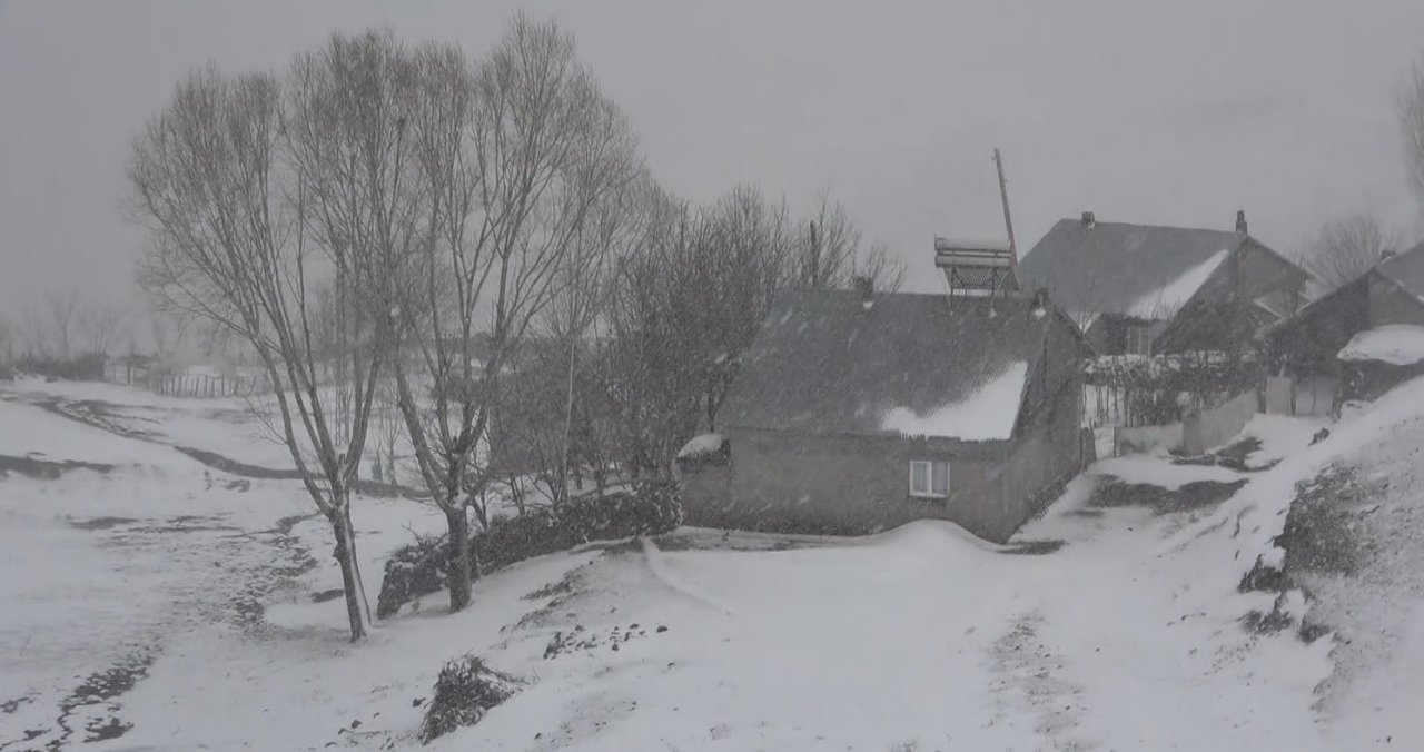 Yiyecek arayan tilki köye indi