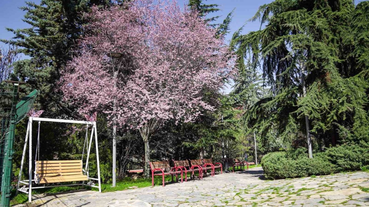 Keçiören’e bahar geldi