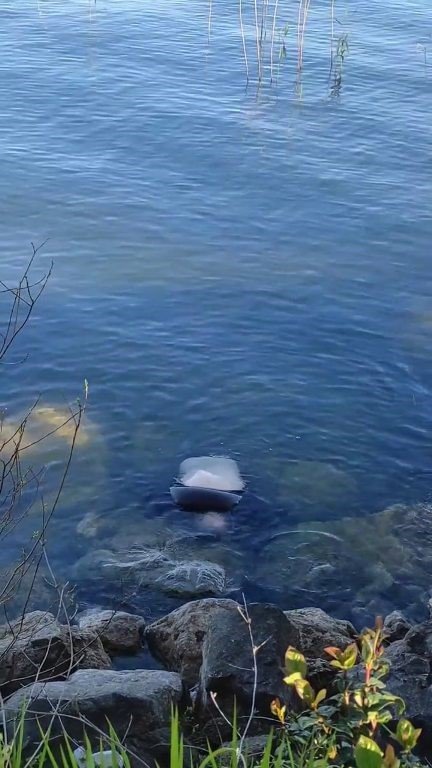 Kayıp olarak aranıyordu, Sapanca Gölü’nden cansız bedeni çıktı