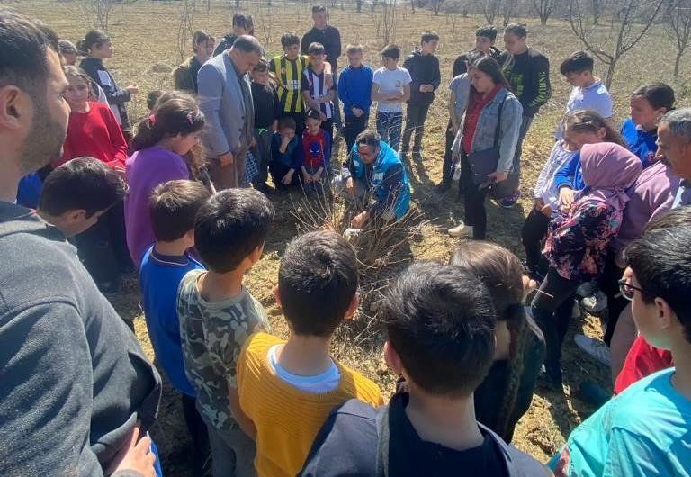 Şaphane’de ortaokul öğrencilerine meyve bahçesinde tarım eğitimi