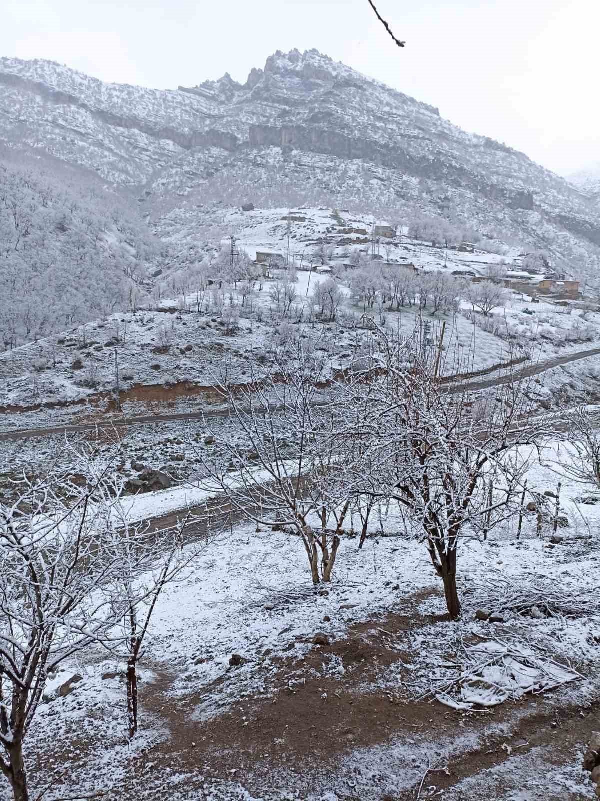 Şırnak beyaza büründü