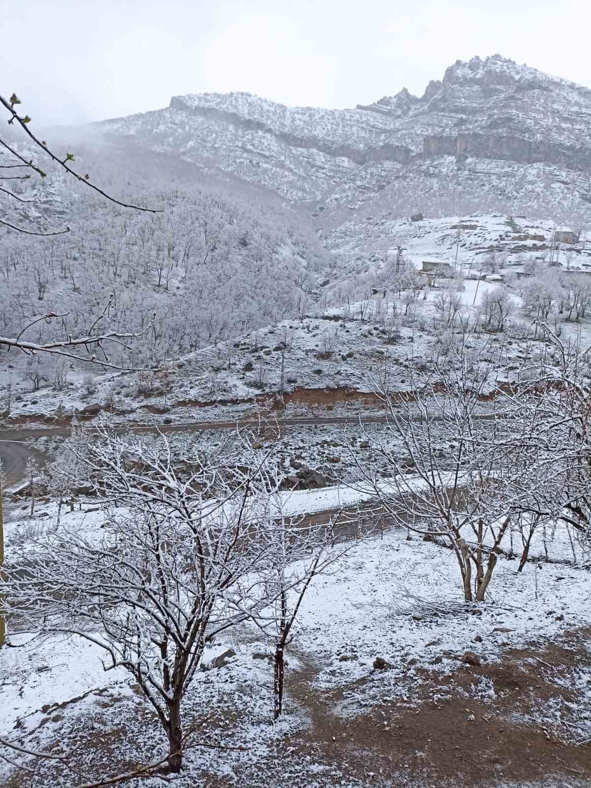 Şırnak beyaza büründü