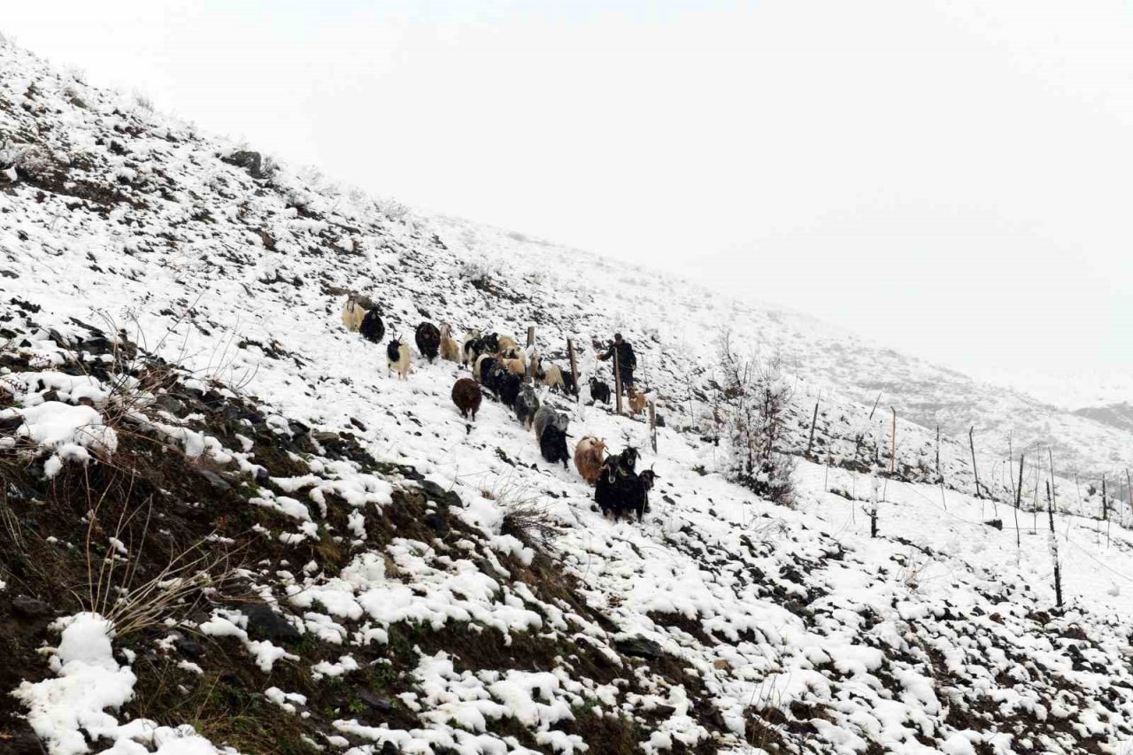 Çatak’ta kar yağışı