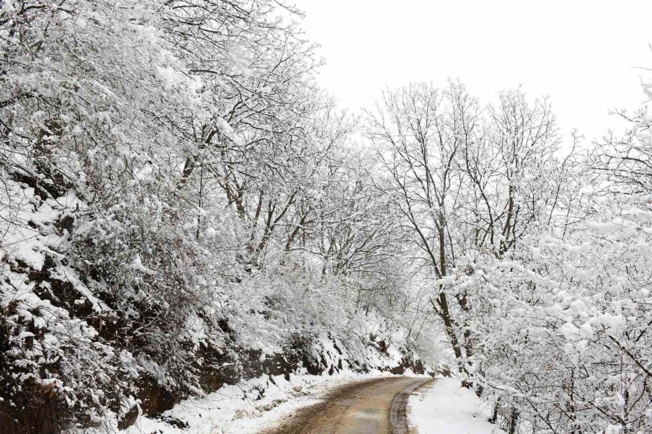 Çatak’ta kar yağışı