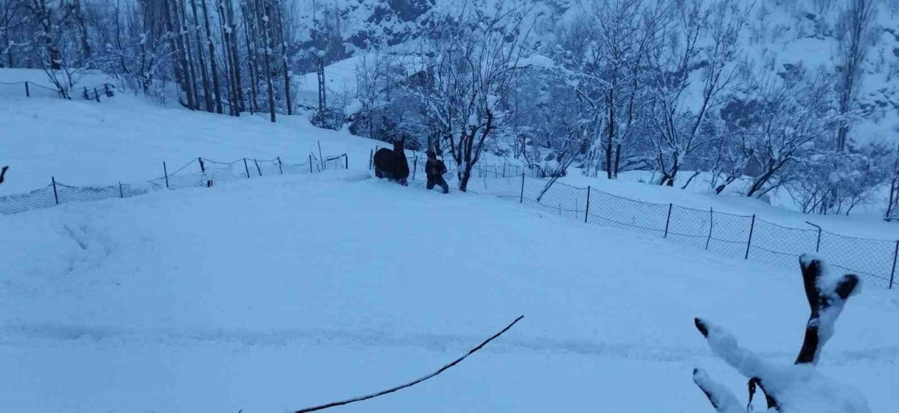 Batman’da etkili olan kar yağışı köy ve mezra yollarını ulaşıma kapattı