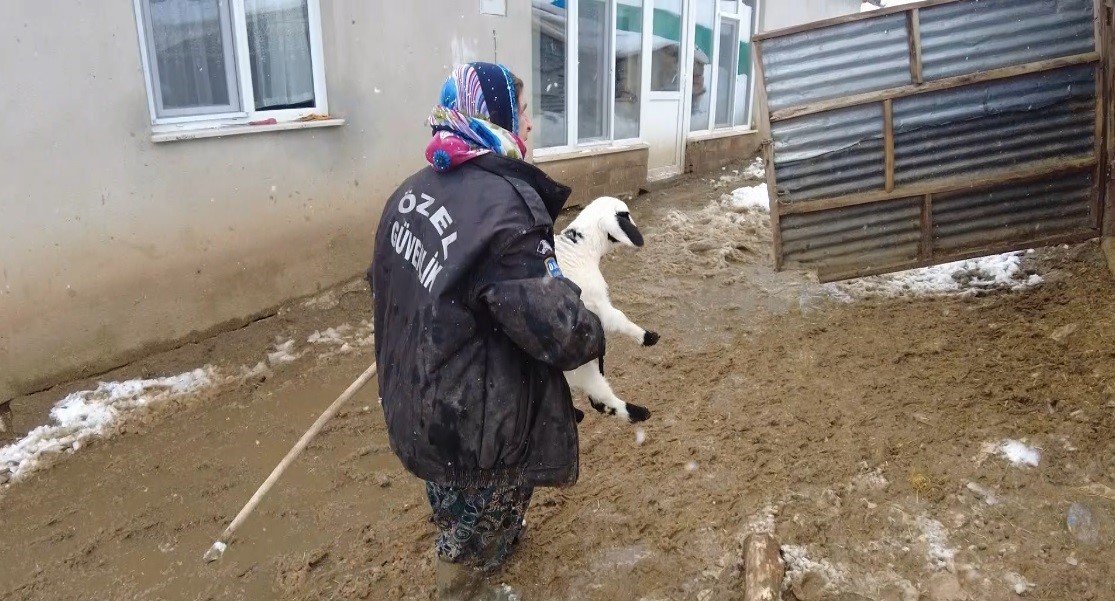 Erzincan’ın köylerinde kış mesaisi sürüyor