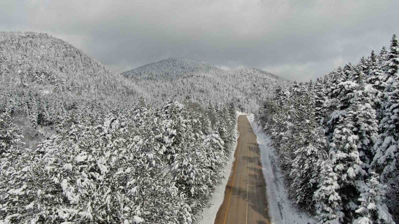 İtfaiye bu kez ağaca takılı kalan dronu kurtarmak için seferber oldu
